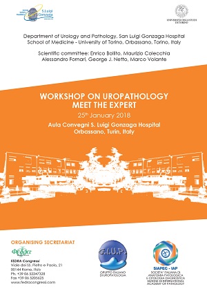 WORKSHOP ON UROPATHOLOGY MEET THE EXPERT,  25th January 2018 Aula Convegni S. Luigi Gonzaga Hospital Orbassano, Turin, Italy