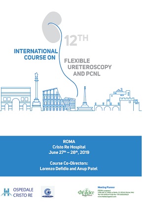 12th International Course on Flexible Ureteroscopy and PCNL,  Rome Cristo Re Hospital, June 27th-28th , 2019